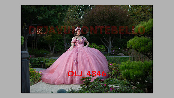 prrepics pink-071