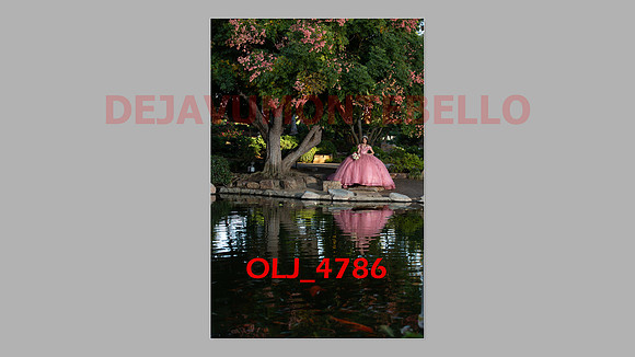 prrepics pink-034