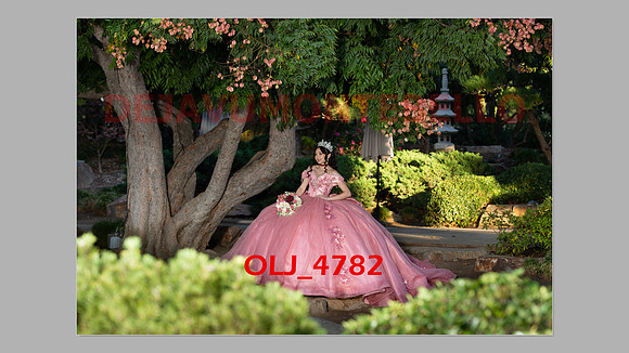 prrepics pink-032