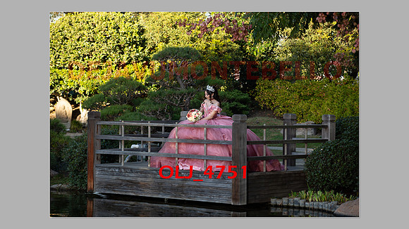 prrepics pink-010