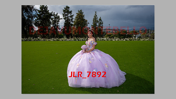 ALLISON SLIDESHOW-269