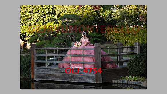 prrepics pink-013