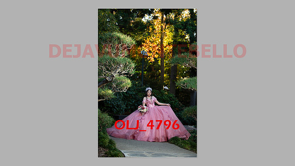 prrepics pink-040