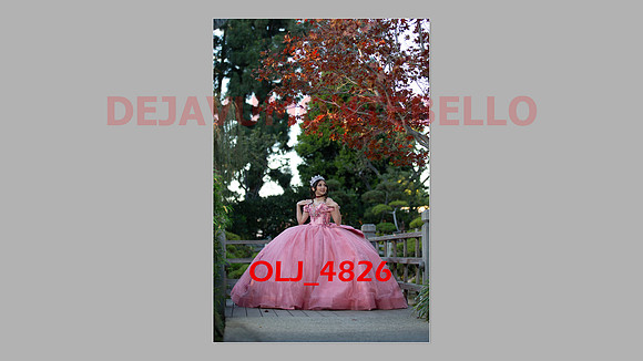 prrepics pink-062