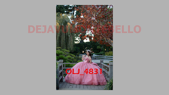 prrepics pink-065