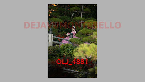 prrepics pink-099