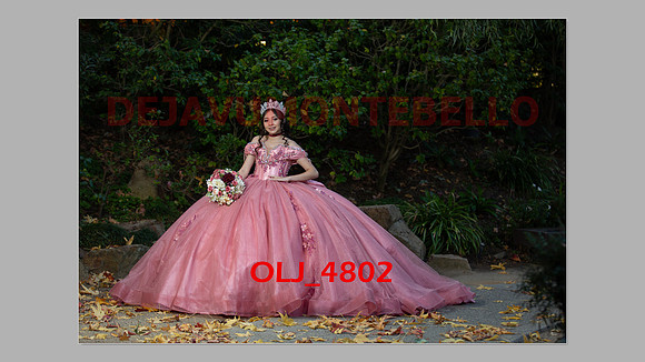 prrepics pink-045