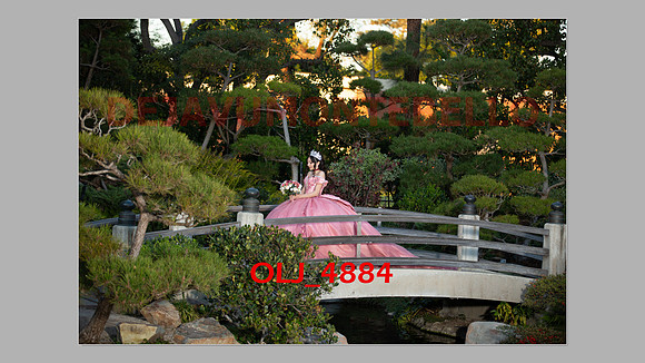 prrepics pink-102