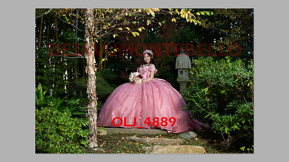 prrepics pink-107