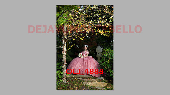 prrepics pink-106