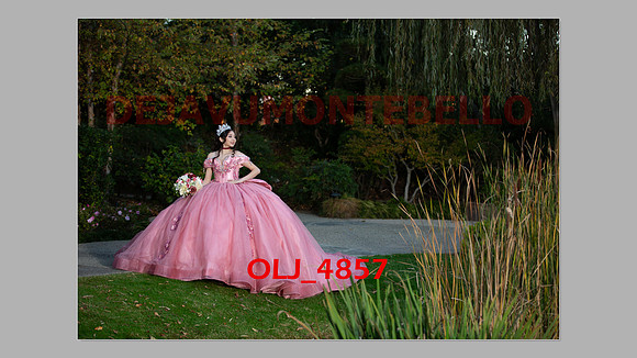 prrepics pink-078