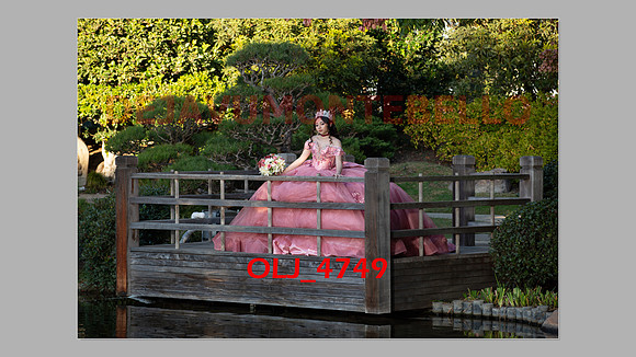 prrepics pink-008