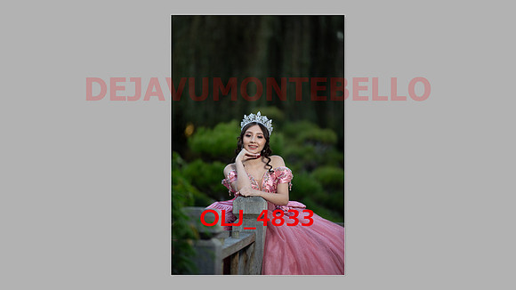 prrepics pink-067