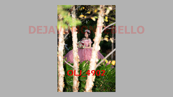 prrepics pink-113