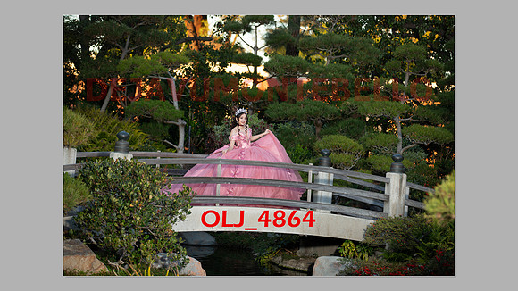prrepics pink-082