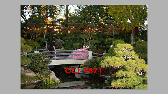 prrepics pink-089