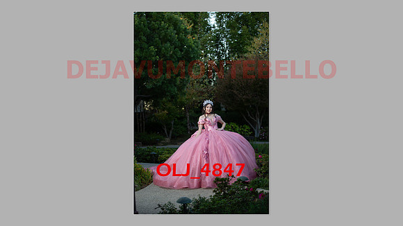 prrepics pink-072