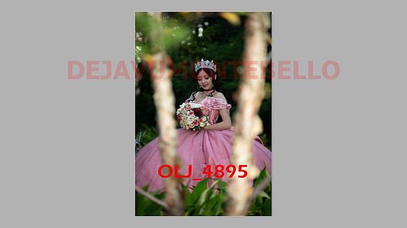 prrepics pink-109