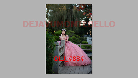 prrepics pink-068