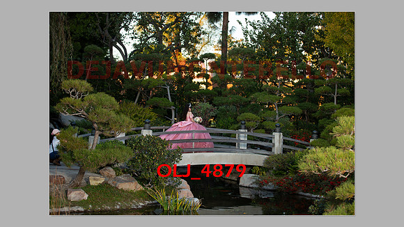 prrepics pink-097