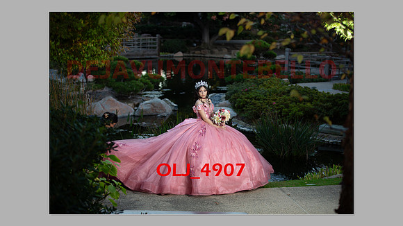 prrepics pink-115