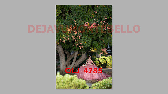 prrepics pink-033