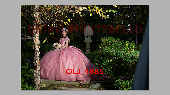 prrepics pink-103