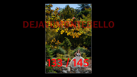 SLIDE XV-133