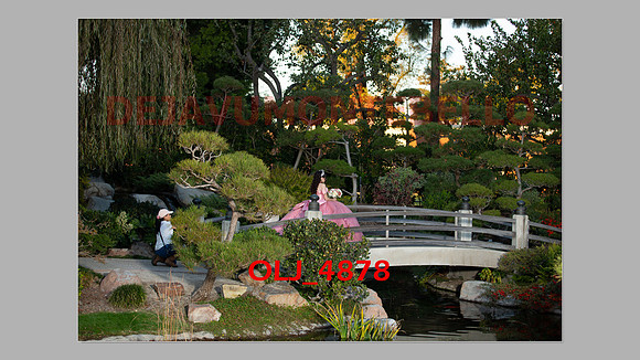 prrepics pink-096