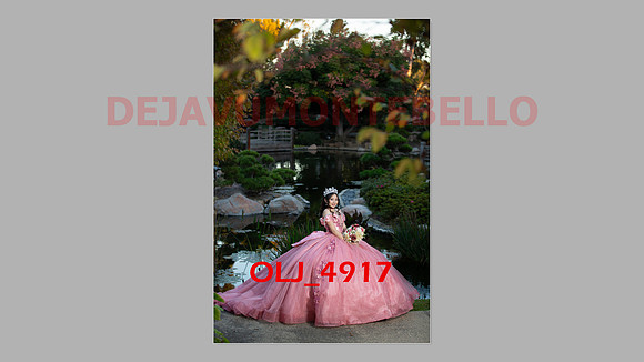 prrepics pink-122