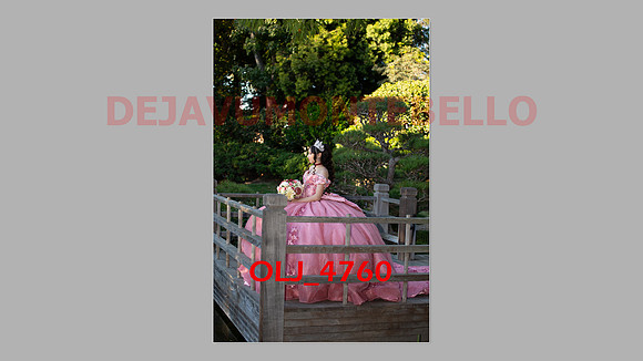 prrepics pink-015