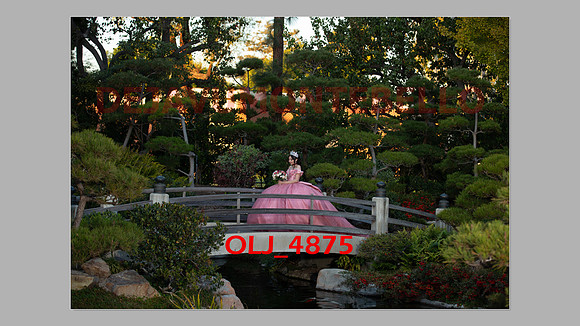 prrepics pink-093
