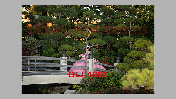 prrepics pink-100
