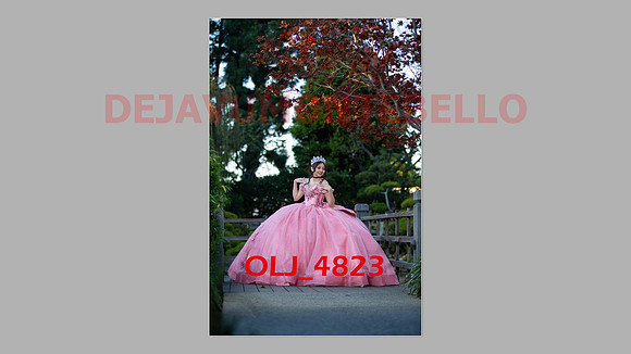prrepics pink-060