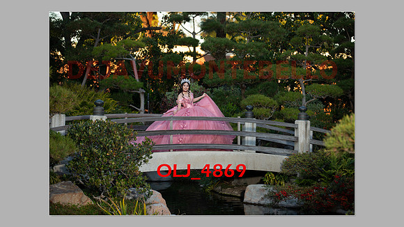 prrepics pink-087