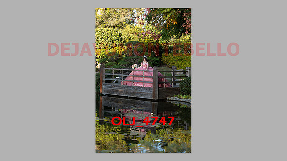 prrepics pink-006