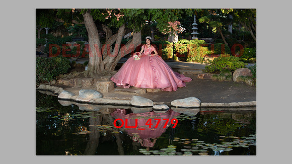prrepics pink-029