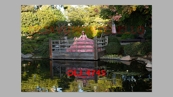 prrepics pink-004