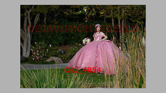 prrepics pink-075