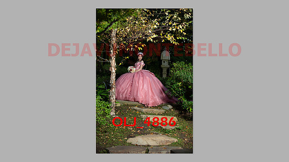 prrepics pink-104