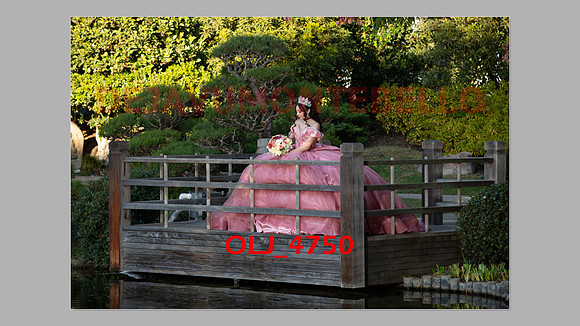 prrepics pink-009