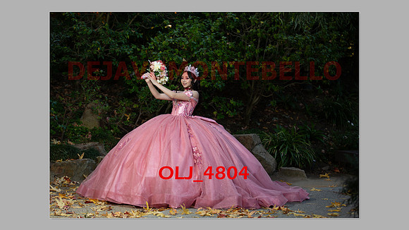 prrepics pink-047