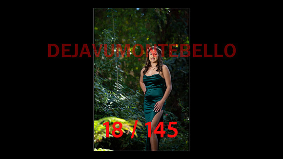 SLIDE XV-018