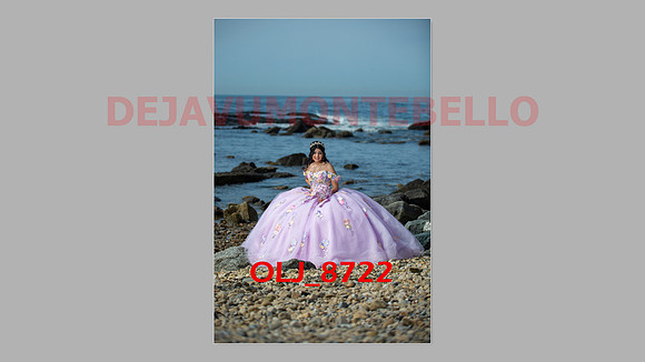 SLIDE ALLISON-02