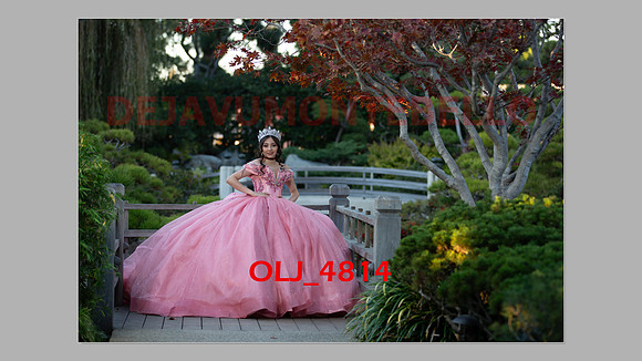 prrepics pink-052