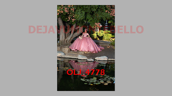 prrepics pink-028