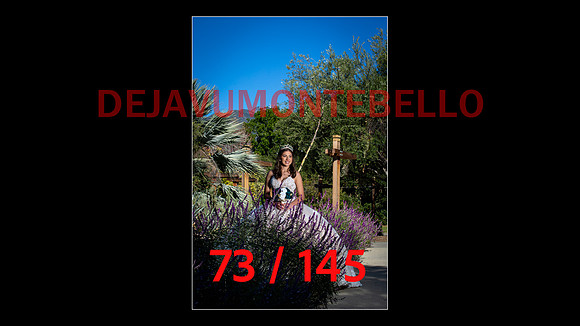 SLIDE XV-073
