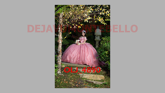 prrepics pink-108