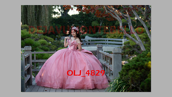 prrepics pink-063