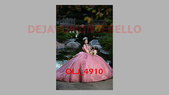 prrepics pink-118